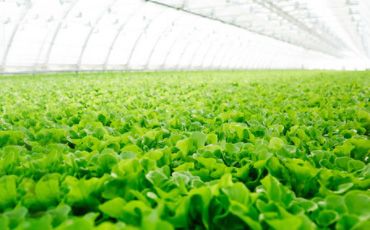 农业部等三部门：开展植保无人飞机应用试点工作