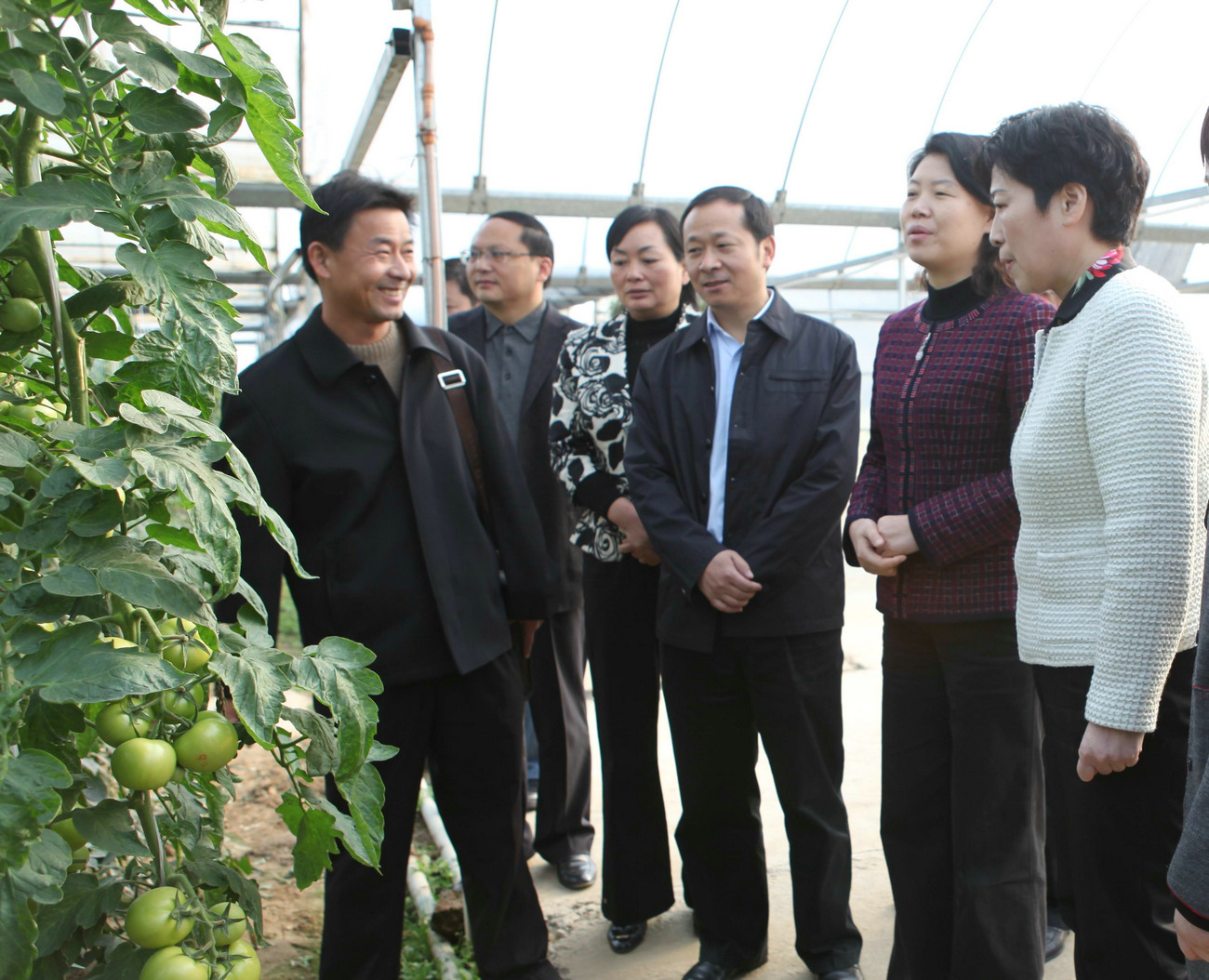 湖北省委常委、政法委书记肖菊华来我公司基地调研指导工作