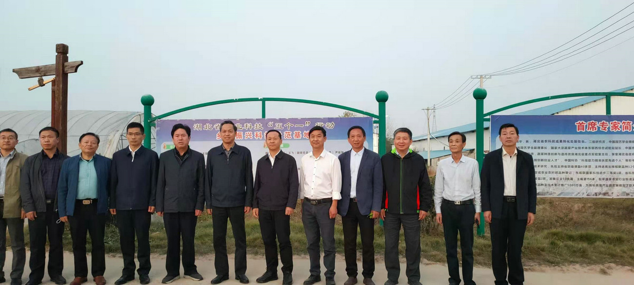 湖北省农业农村厅党组成员、省农业科学院党委书记刘晓洪来我公司基地调研指导工作
