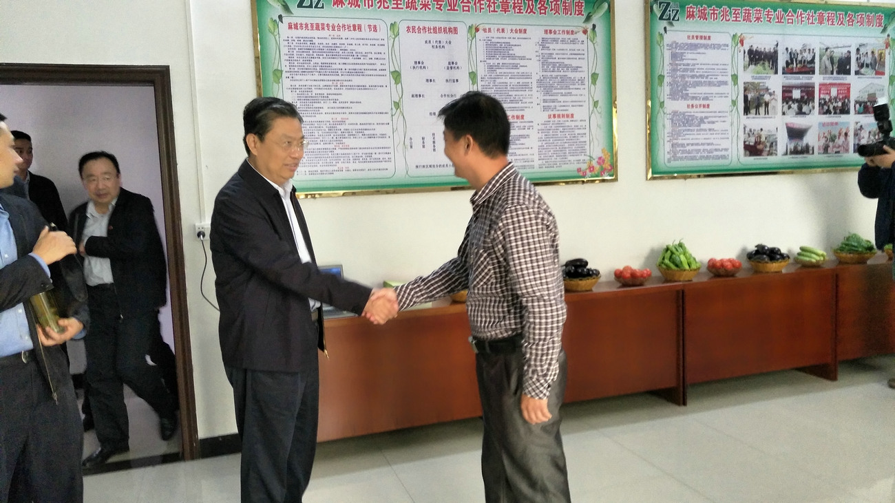 中央政治局常委、全国人大常委会委员长赵乐际来公司视察