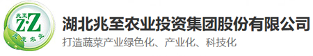 湖北不朽情缘官网登录入口农业投资集团股份有限公司